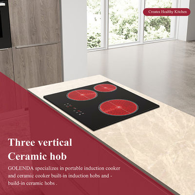 Customized Temperature Controlled Induction Hob , Hot Plate Electric Cooker 5100w
